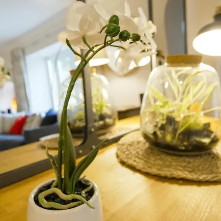 Off Street Parking - Cosy 1 Bedroom Flat, Clifton